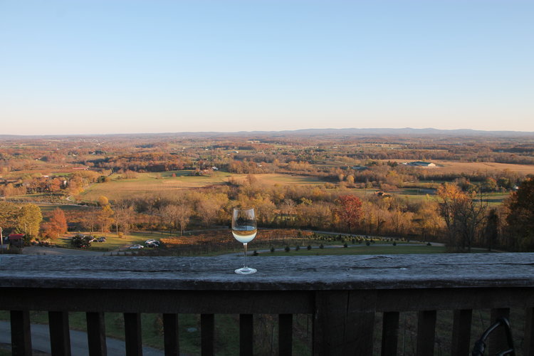 BS Guide to Virginia Wineries logo