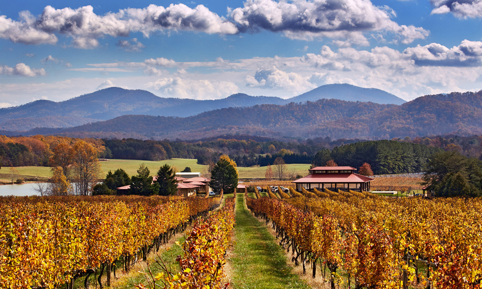 wine tours virginia